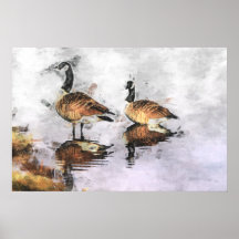 Canada Geese Poster
