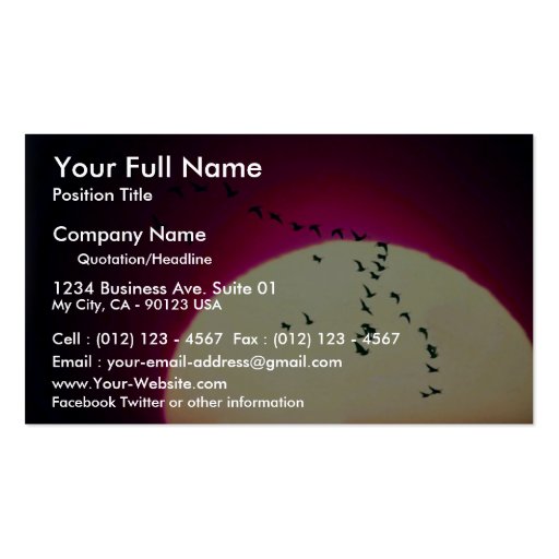 Canada geese silhouetted against setting sun business card templates (front side)
