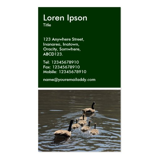 Canada Geese with Goslings - Dark Green Business Card (back side)