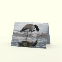Canada Goose 1975 cards by MoiraAshleigh Canada Goose 1975 cards