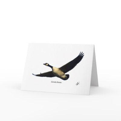 123greeting cards photograph