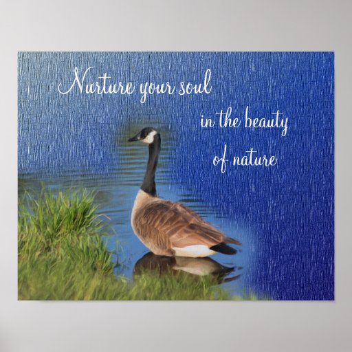 Canada Goose Beauty Of Nature Inspirational Poster Zazzle