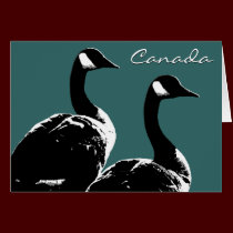 Canada Goose Cards Canada Geese Greeting Cards cards
