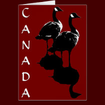 Canada Goose Cards Canada Geese Greeting Cards cards