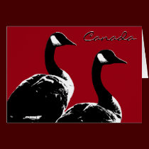 Canada Goose Cards Canada Geese Greeting Cards cards