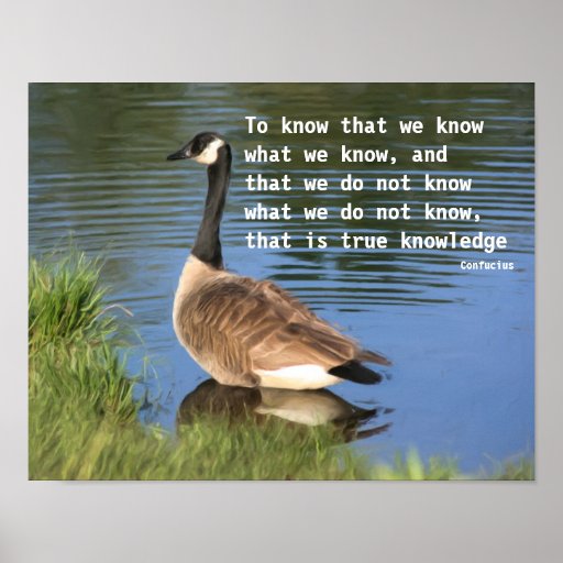 Canada Goose Confucius Quote Inspirational Poster Zazzle