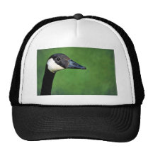 Canada goose hats