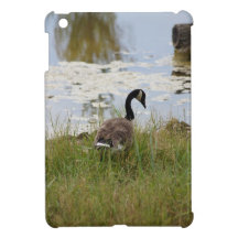 Canada Goose iPad Mini Skin iPad Mini Case