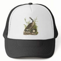 Canada Goose, John Audubon Mesh Hats