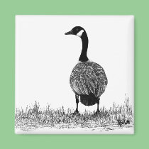 Canada Goose Magnet magnets