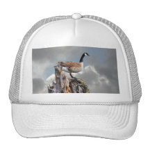 CANADA GOOSE MESH HAT