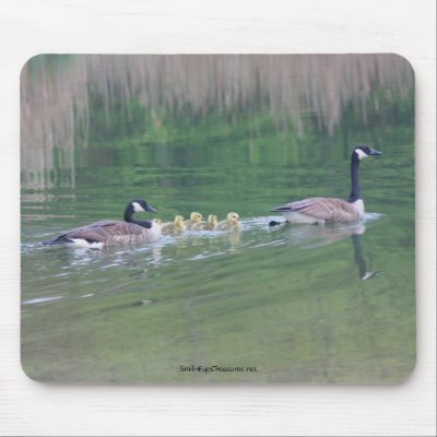 Canada Goose Mom Babies Nature Photo Mousepad by SmilinEyesTreasures