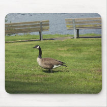 Canada Goose mousepads
