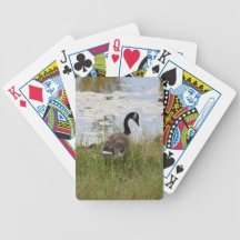 Canada Goose Playing Cards