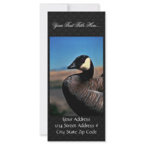 Canada goose portrait rack card