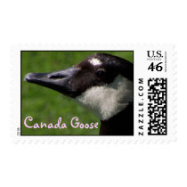 Canada Goose Postage postage by farmer77 Canada Goose Postage postage