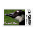 Canada Goose Postage postage