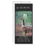 Canada goose customized rack card