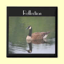 Canada Goose Reflection Inspirational Magnet magnets