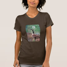 Canada goose t shirts
