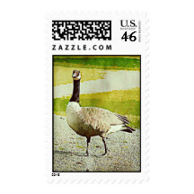 Canada Goose - Watercolor Painted Effect Stamps