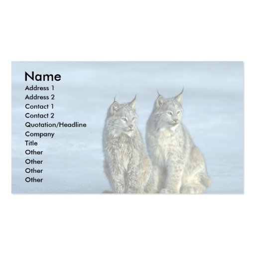 Canada lynx, winter, pair by icy stream business card templates
