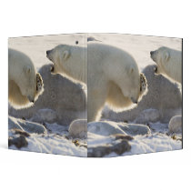Canada, Manitoba, Hudson Bay, Churchill. Two 3 Ring Binders