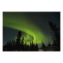 Canada, Manitoba. View of aurora borealis and