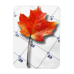 Canada Maple Leaf Magnet