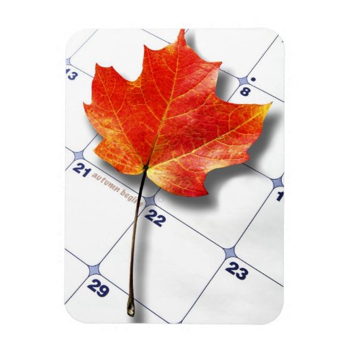 Canada Maple Leaf Magnet