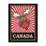 Canada Moose Postcard