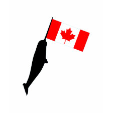 Canada Narwhal shirt