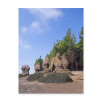 Canada, New Brunswick, Hopewell Cape, Bay of