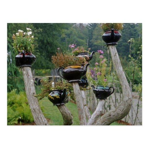 Canada, New Brunswick, St Andrews. Teapots Postcard
