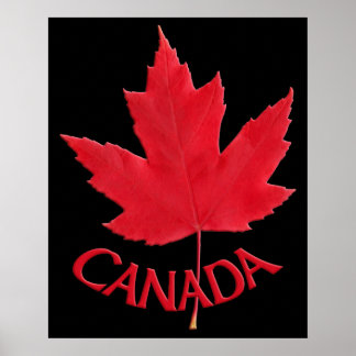 Canada Maple Leaf Posters 