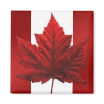 Canada Souvenir Fridge Magnet Canada Maple Leaf