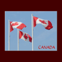 Canada Souvenir Postcards Canada Flag Art Cards postcards