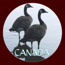 Canada Souvenir Stickers Canada Goose Stickers stickers