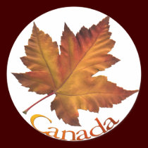 Canada Souvenir Stickers Maple Leaf Stickers stickers