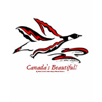 Canada's Beautiful Canada Goose by Dawna Robertson t-shirts by dawnawildlife Canada's Beautiful Canada Goose by Dawna Robertson t-shirts