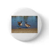 canadas buttons