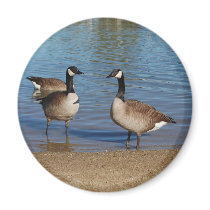 canadas magnets by kathiscc canadas magnets