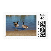 canadas postage by kathiscc canadas postage