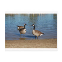canadas postcards