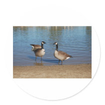 canadas stickers