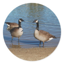 canadas stickers