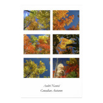 Canadian Autumn posters by DigitalApoptosis Canadian Autumn posters