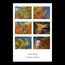 Canadian Autumn posters