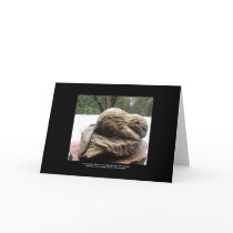 Canadian Beaver Kit-Environmental & Canadian Card