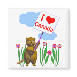 Canadian Beaver Loves Canada Refrigerator Magnets